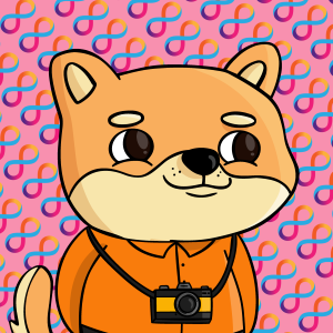 dogfinity: 2843