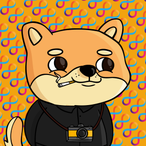 dogfinity: 2554