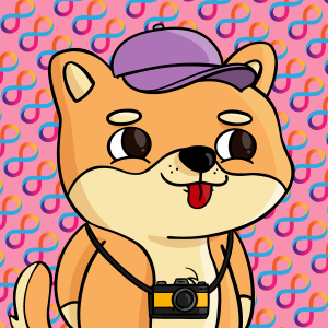 dogfinity: 2498