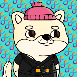 dogfinity: 507