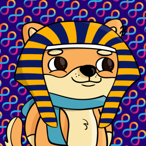 dogfinity: 1597