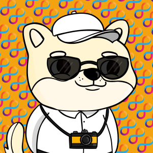 dogfinity: 1354
