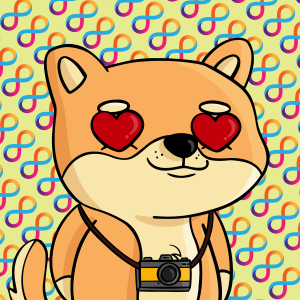 dogfinity: 3243