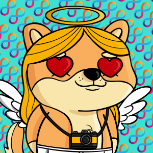 dogfinity: 3158